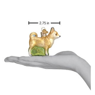Chihuahua Ornament  Old World Christmas