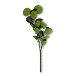 Double Branch Eucalyptus Stem  K&K