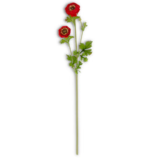Red Ranunculus Spray  K&K