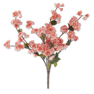 Blossom Bush  K&K Coral
