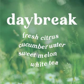 Daybreak 4 oz. Hue Reed Diffuser (Lemon + Cucumber) GP Candle Co.