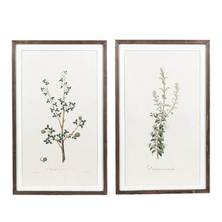 Reversible Wood Frame Sign (Gileadensis) Adams Everyday Adams & Co.