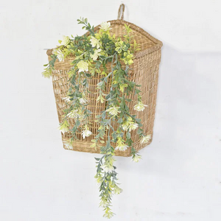 Hanging Lupulus Linn Plant  PD Home