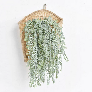 Long Leaf Fern  PD Home