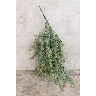 Long Leaf Fern  PD Home
