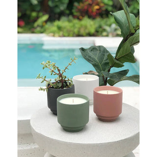Outdoor Candle | Tea Tree + Desert Cactus BOTANICA