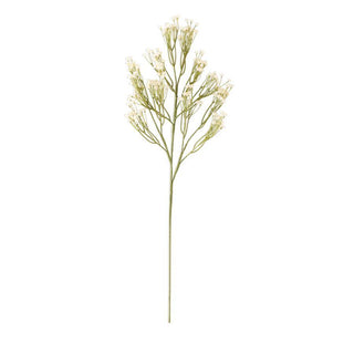 Babys Breath Spray  K&K Cream