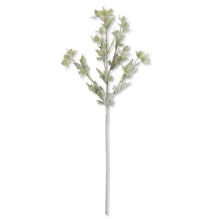 Green Thistle
Spray  K&K
