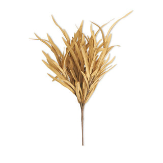 Ava Grass Bush Stem  K&K Brown
