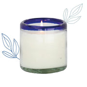 La Playa - Salted Blue Agave - 9 oz Candle  Paddywax   