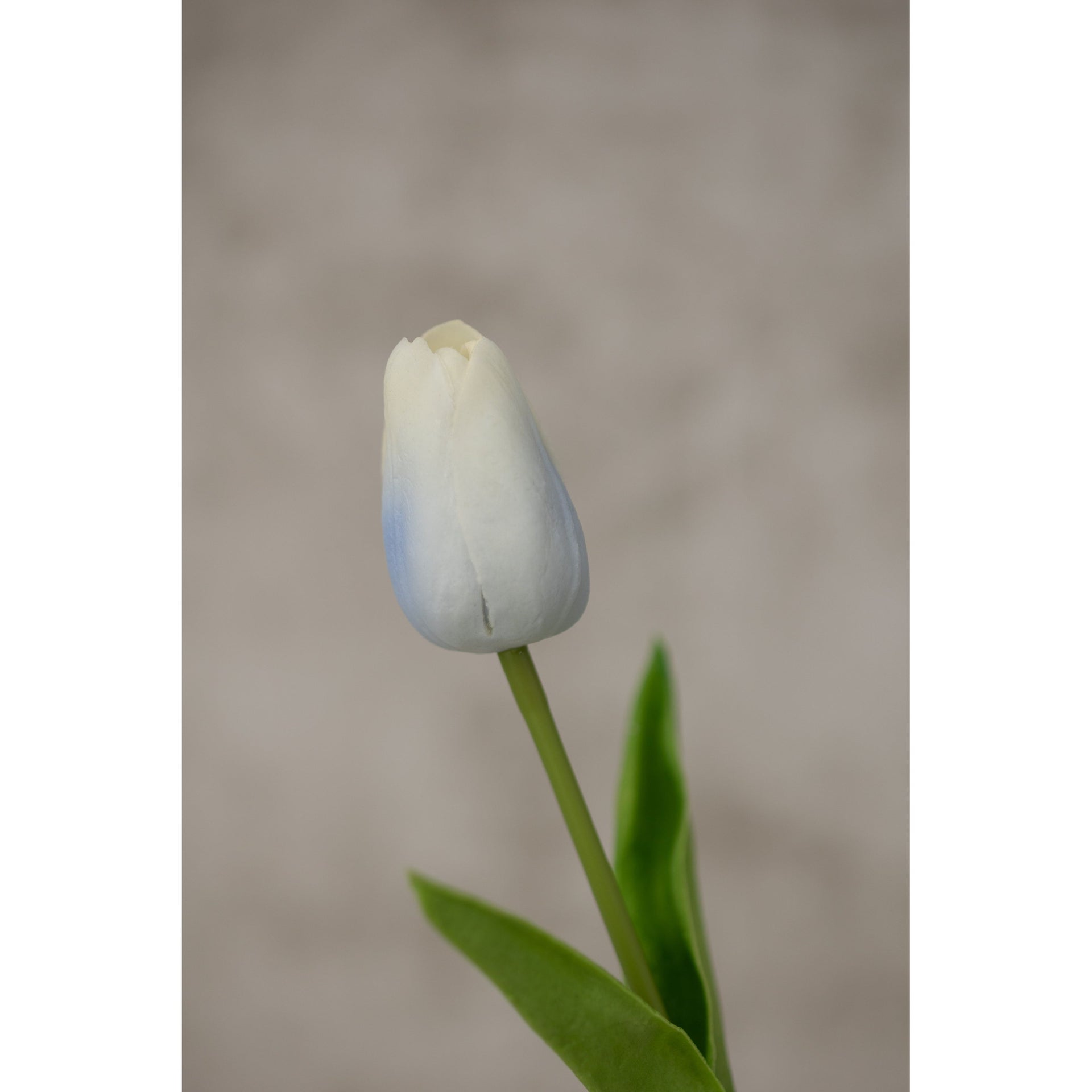 Real Touch Tulip Artificial Flora K&K Blue  