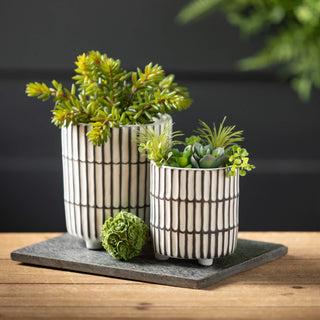 Footed Planter Sullivans Home Decor