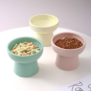 Cat Bowls & Feeders