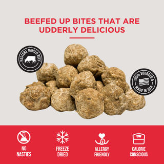 The Only Freeze Dried Beef Meatballs Dogs Need Natural Rapport