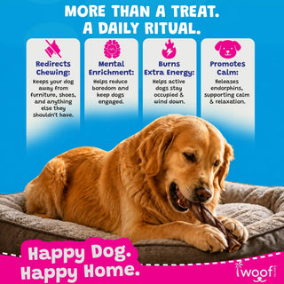 Dog treat: 6-inch braided collagen stick, grass-fed beef