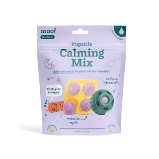 Pupsicle Calming Mix dog treat bag showing yellow mold with purple discs and a green circular toy