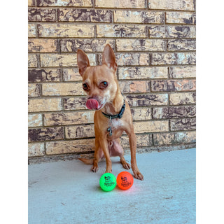 Fetch and Glow Ball dog toy set with two neon green and orange balls by Spunky Pup