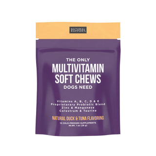 The Only Multivitamin Soft Chews Dogs Need Natural Rapport 12 count pouch