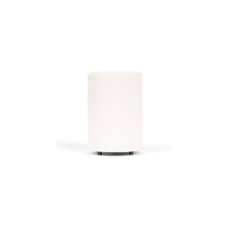 Mod Counter Wax Warmer Happy Wax Bone