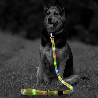 LED dog leash, neon yellow strap with multicolor LED lights.