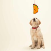 Rope Dog Toy | Taco Speckle and Spot by Ore’ Originals