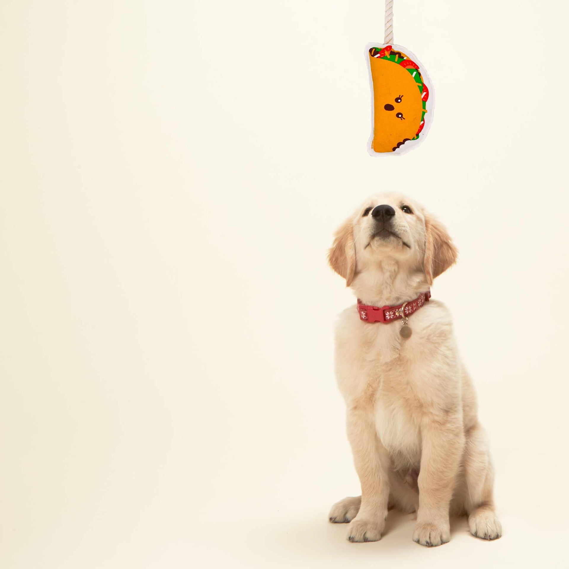 Rope Dog Toy | Taco Speckle and Spot by Ore’ Originals