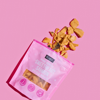 The Only Sweetheart Salmon Dogs Need dog treats in a pink pouch