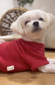 LITTLE BEACH BUM Pet Graphic Sweatshirt. OAT COLLECTIVE