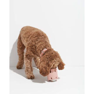 Tennis Tumble Interactive Dog Toy Wild One