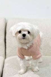 LOCAL Pet Graphic Sweatshirt OAT COLLECTIVE