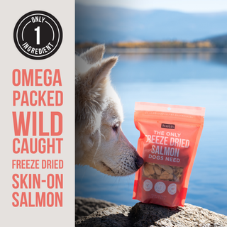 The Only Freeze Dried Salmon Dogs Need Natural Rapport