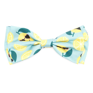 Lemons Bow Tie for dogs in light blue with lemon slice print