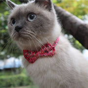 Mokka - Floral Bowtie Cat Collar Cheerhunting