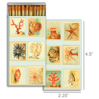 Matches - Mollusks, Coral, Seastars  HomArt   