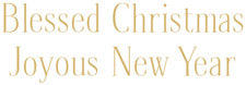 Nativity And Snowy Church - Christmas Card Box B Size 16 In  Caspari   