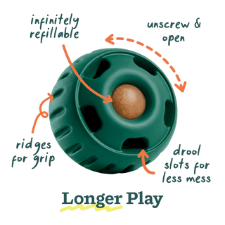 The Pupsicle Dapper dog toy, a green circular disk with a brown core, ridges for grip.