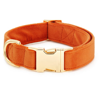 Pumpkin Velvet Dog Collar The Foggy Dog