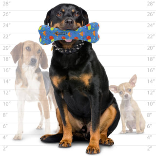 Mighty Bone blue celebration squeaky dog toy, no stuffing, bone-shaped with colorful print
