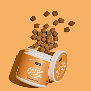 The Only Skin & Coat Soft Chews Dogs Need Natural Rapport