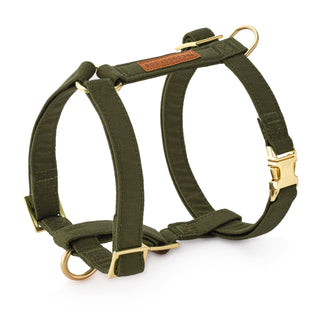 Olive Dog Harness The Foggy Dog L
