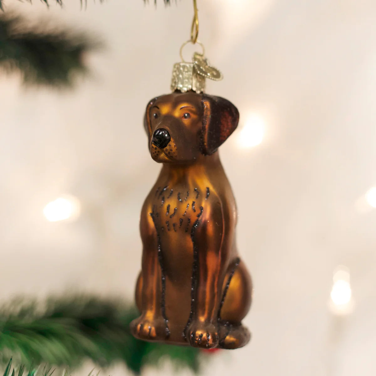 Chocolate Labrador Ornament  Old World Christmas   