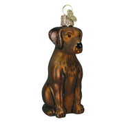 Chocolate Labrador Ornament  Old World Christmas   