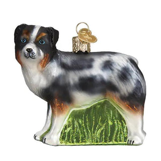 Australian Shepherd ornament in black, white and tan with blue eyes on a green grassy base and gold hanger.