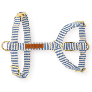 Lake Blue Stripe Harness The Foggy Dog
