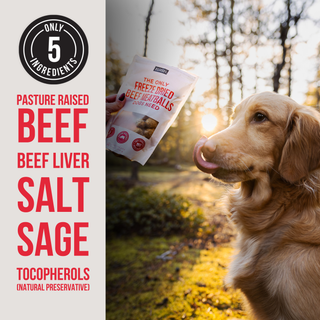 The Only Freeze Dried Beef Meatballs Dogs Need Natural Rapport