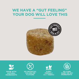 Digestive-support soft chews for dogs; brown speckled treat, USA-made