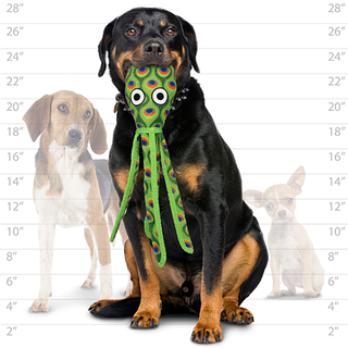 Tuffy Ocean Squid - Green, Durable, Tough, Squeaky Dog Toy Tuffy Dog Toys - VIP Products