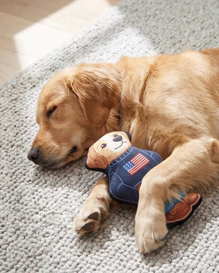 Ruff Lauren Teddy dog toy, a plush squeaker in blue outfit with American flag pattern.