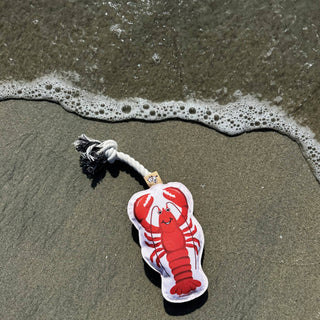 Lobster rope dog toy; plush red lobster with white braided rope on sandy beach by the water