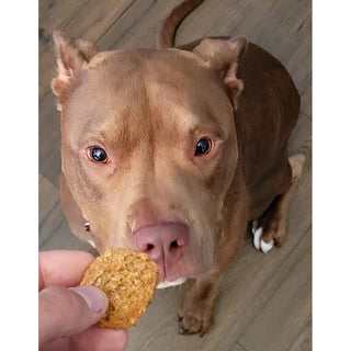 Peanut Butter & Blueberry Soft Chewy Dog Treats  Dilly's™ Poochie Butter   